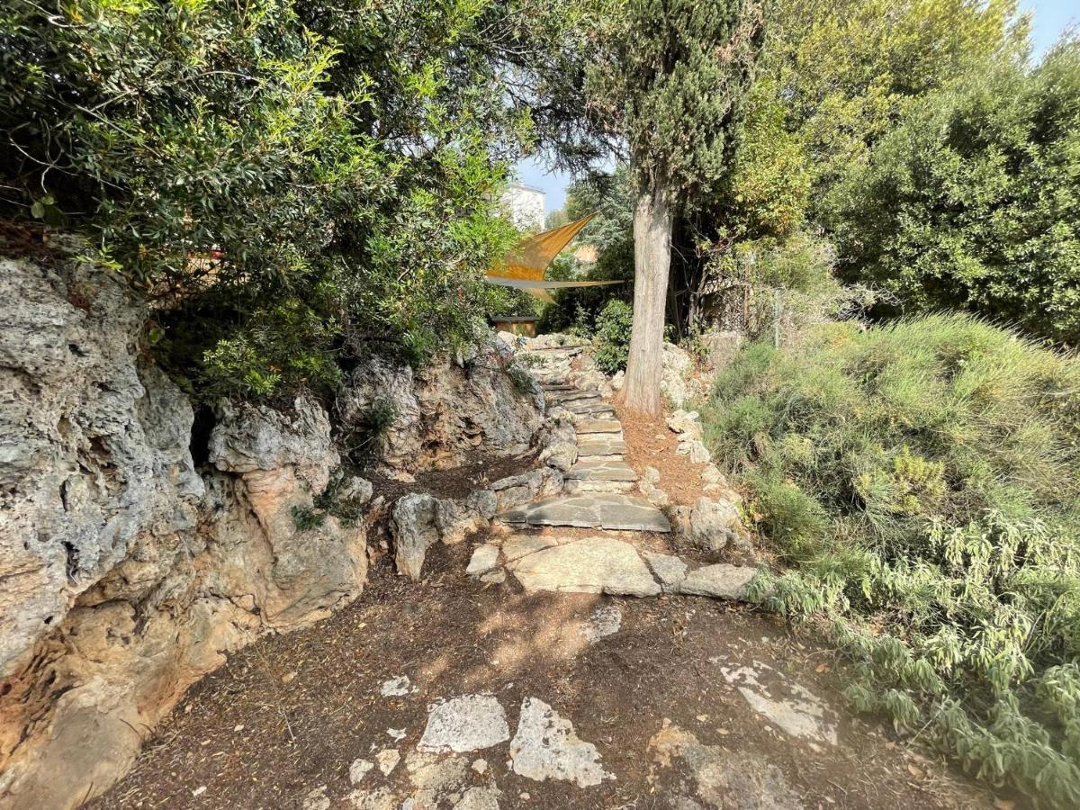 Villa Degli Ulivi Massa Marittima Eksteriør bilde
