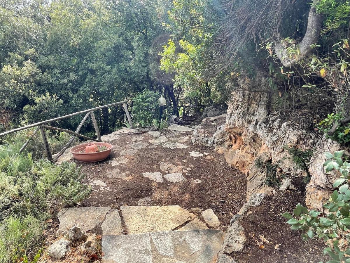 Villa Degli Ulivi Massa Marittima Eksteriør bilde