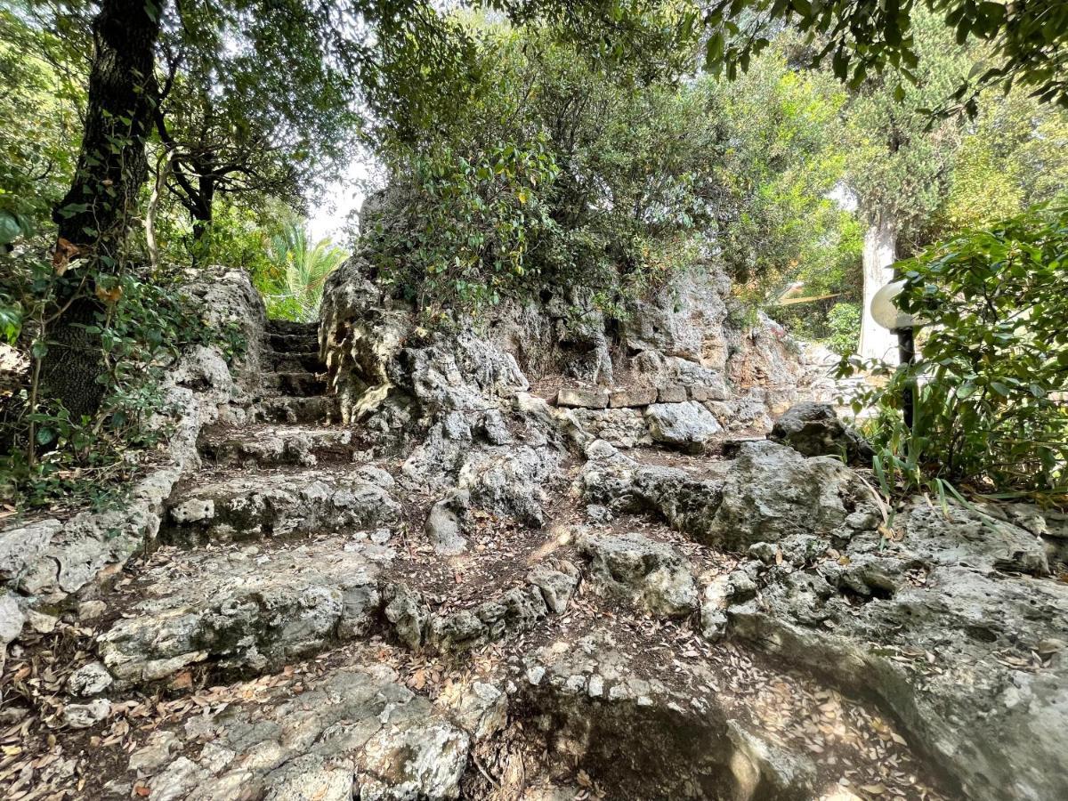 Villa Degli Ulivi Massa Marittima Eksteriør bilde